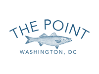 the point color
